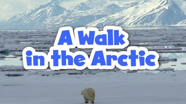 Arctic vs Antarctica: Exploring the Truth about Which Region is Warmer