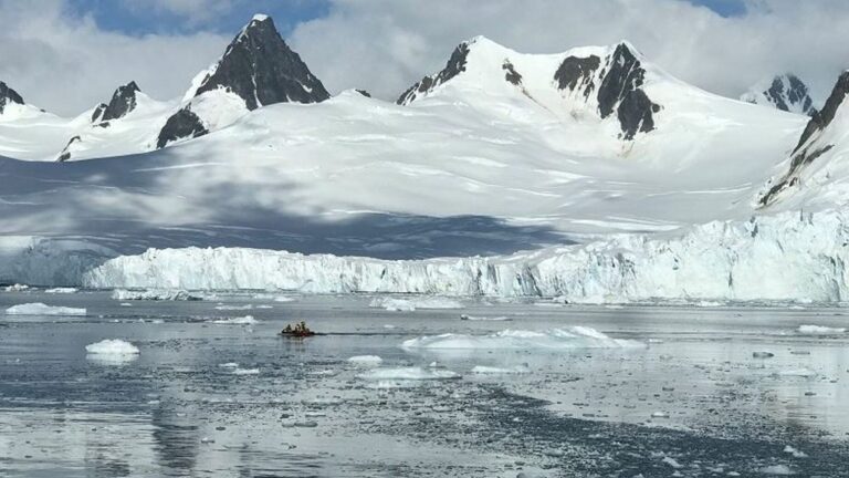 Chilling Truth: Is It Safe to Take a Dip in the Arctic Waters?