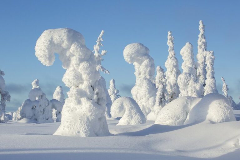 Discover the Best Age for a Lapland Adventure: Answers for Parents of 7-Year-Olds