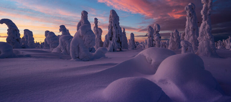 Discover the Best Month for Snow in Lapland – Plan Your Winter Adventure Now!