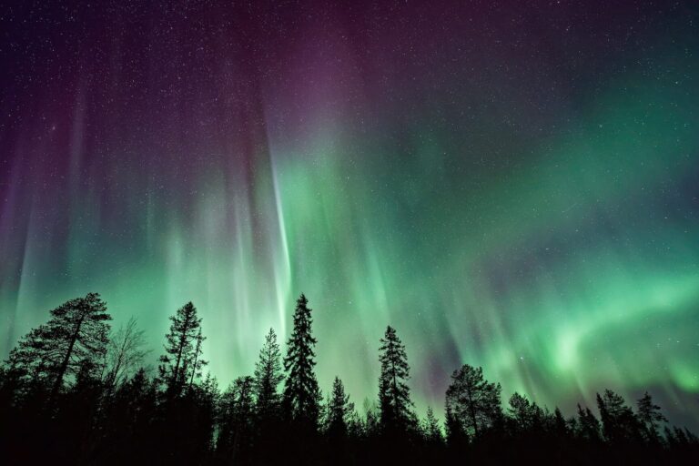 Discover the Best Month to Catch the Northern Lights in Lapland