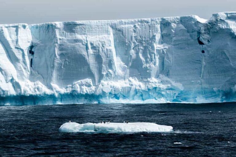 Discover the Best Time to Visit Antarctica – A Guide to Finding the Perfect Month