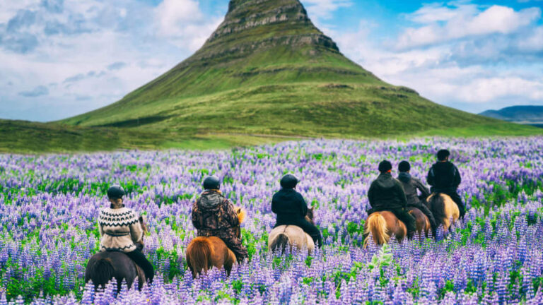 Discover the Reality of Living Costs in Iceland: Is It Expensive to Live in Iceland?