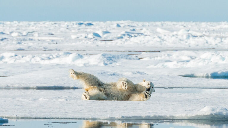 Discover When Svalbard Shines: The Best Month to Explore Spitsbergen