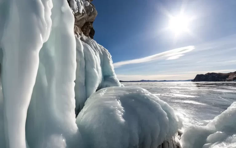 Discovering Arctic Wildlife: Who Calls the Icy North Home?
