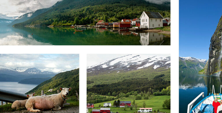 Discovering the Cost of Wine in Norway: Savoring a Glass without Breaking the Bank