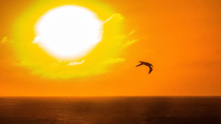 Discovering the Myth: Does Greenland Truly Experience 24 Hours of Sun?