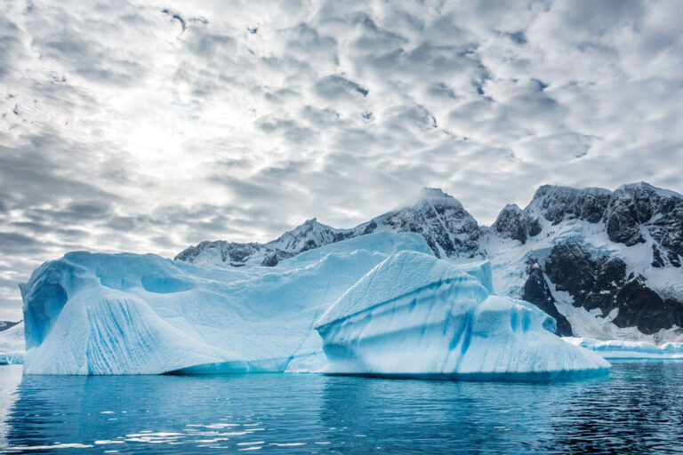 Essential Skills for Surviving in the Harsh Arctic Environment