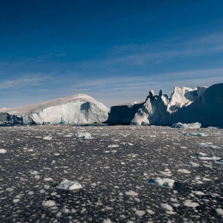 Expert Tips for Surviving the Harsh Arctic Cold