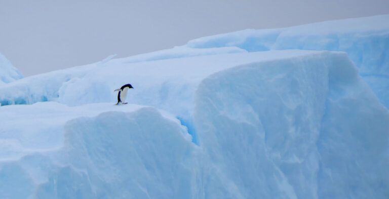 Exploring Antarctica: Can Everyday Adventurers Embark on this Arctic Journey?