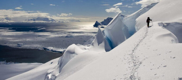 Exploring Antarctica Solo: Tips and Advice for Independent Travelers