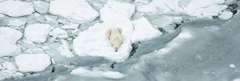 Exploring Arctic Risks: What You Need to Know