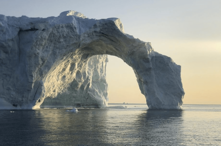 Exploring Greenland: Debunking the Myth of Bugs Infestation