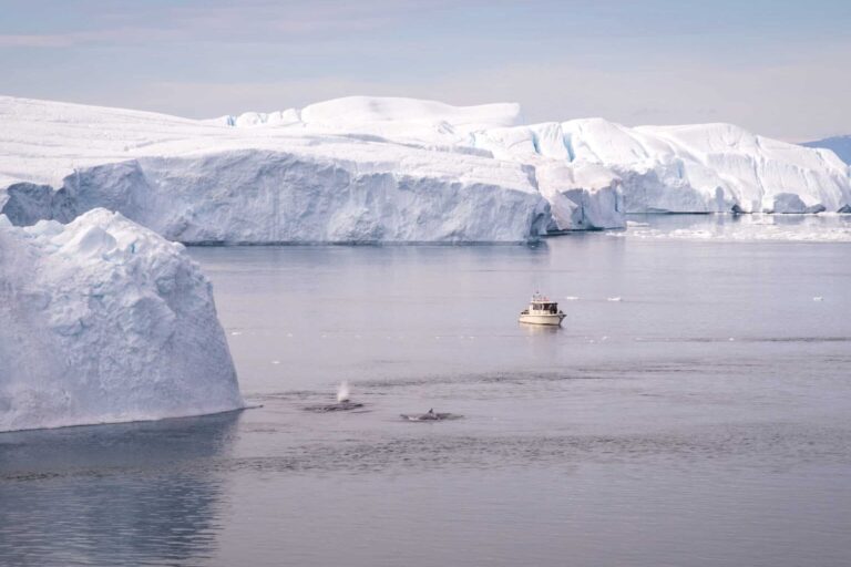 Exploring Greenland: The Ultimate Guide to Choosing the Perfect Length of Stay