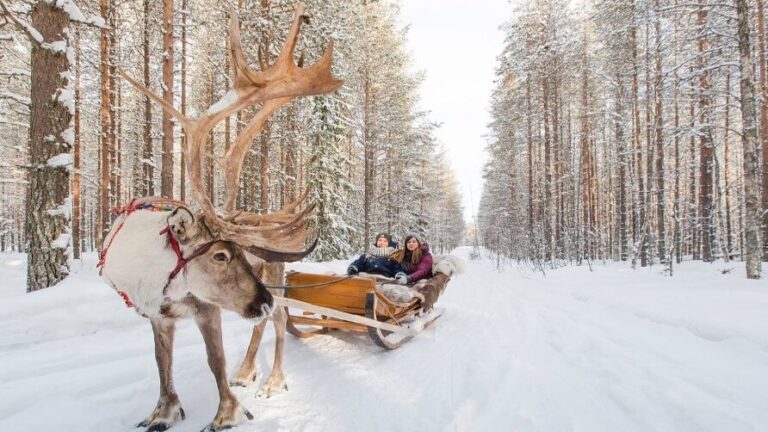 Exploring Lapland: How Warm Can An Igloo Get?
