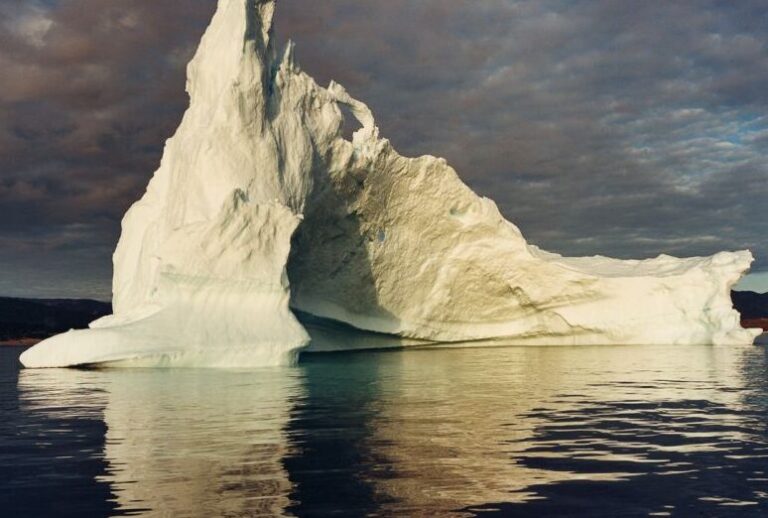 Exploring the Arctic: Discovering the Drawbacks of Travelling to Antarctica