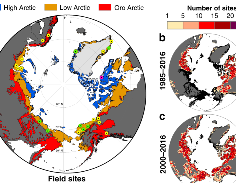 Exploring the Arctic: Discovering the Temperatures of its Summer Season