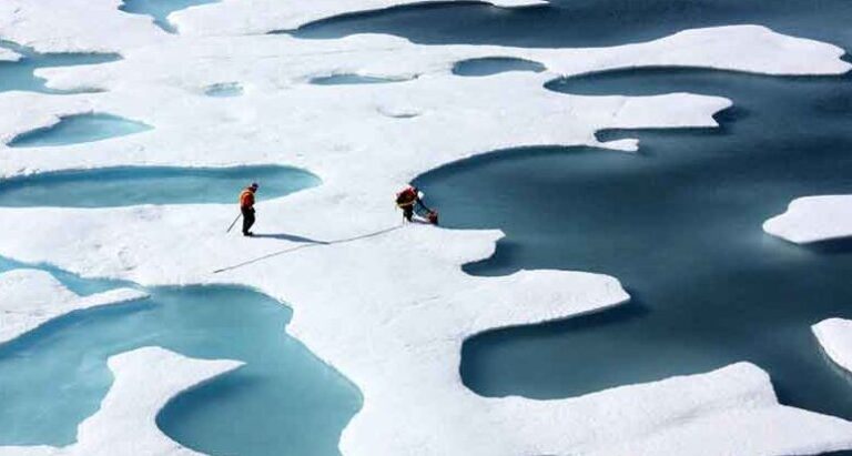 Exploring the Arctic: The Truth About KFC in Antarctica