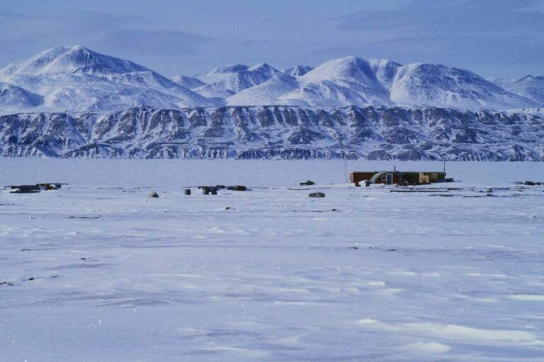 Exploring the Arctic: Uncovering the Truth About Health and Diseases