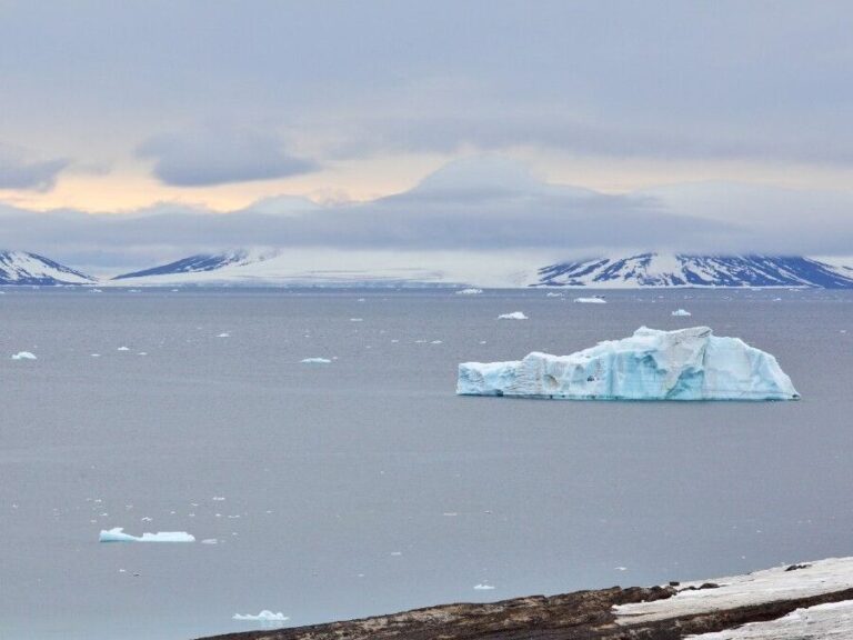 Exploring the Enigmatic Arctic: Uncovering the Place with 6 Months of Darkness