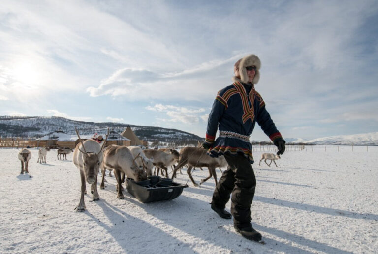 Exploring the Peaceful Arctic: Myths and Realities