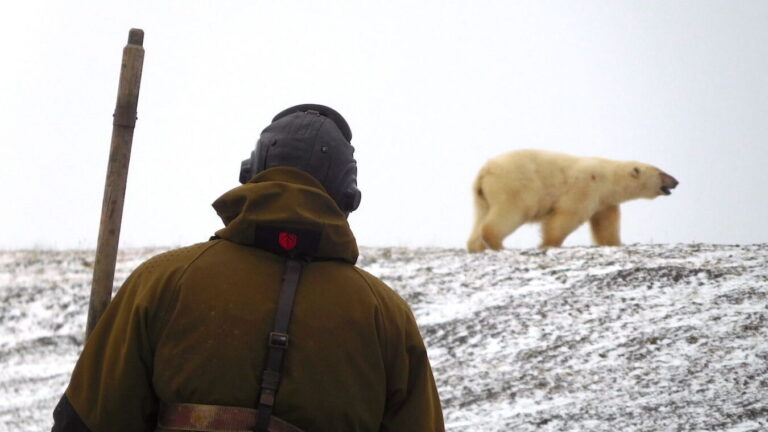Is it Possible? Walking to the Arctic: Exploring the Challenges and Possibilities