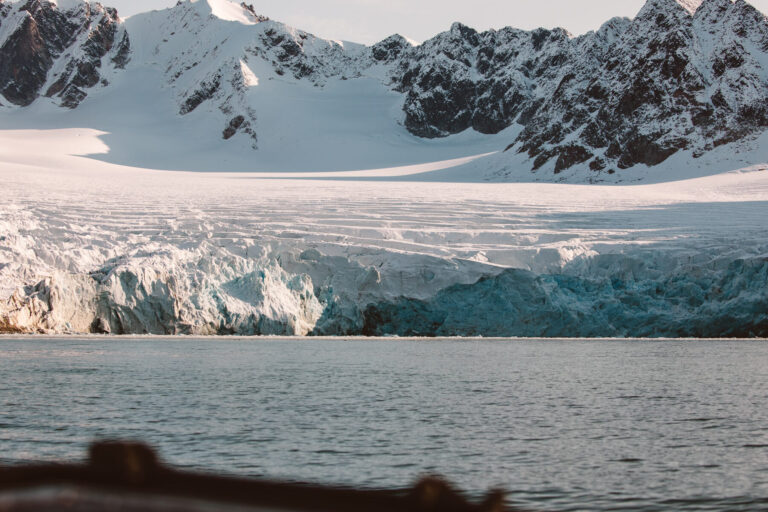 Pet Policy in Spitsbergen: Can You Bring your Furry Friends to Svalbard?