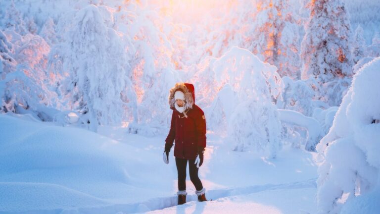 Planning an Arctic Adventure: How Much Money Do You Need?