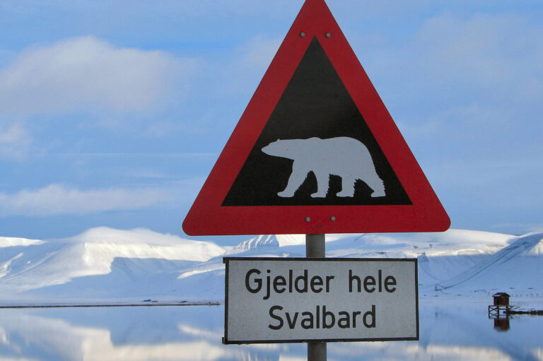 Police presence in Spitsbergen: Everything you need to know about law enforcement in Svalbard