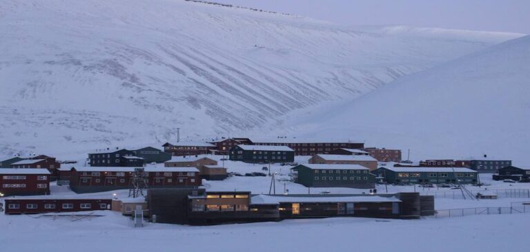 Revealed: The Mystery Behind Cats Ban in Svalbard Explained