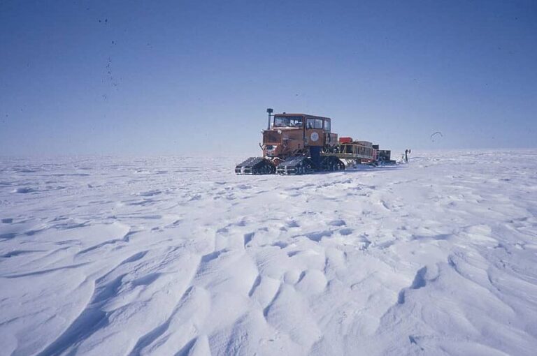 Surviving the Arctic and Antarctica: Is It Possible to Live in the World’s Coldest Places?