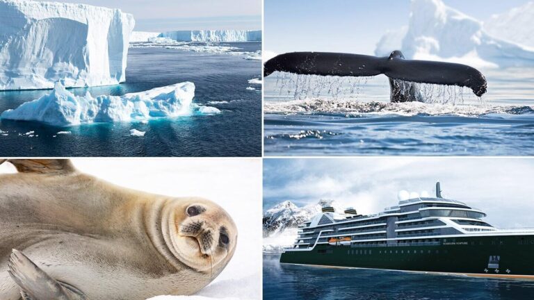 The Enigmatic World Beneath Antarctica: Exploring the Mysteries of the Arctic