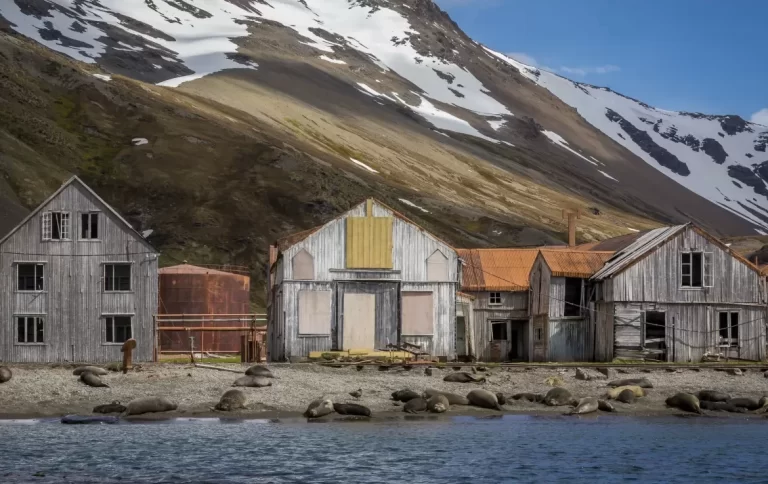 The Ultimate Guide to Choosing the Best Month to Explore Antarctica