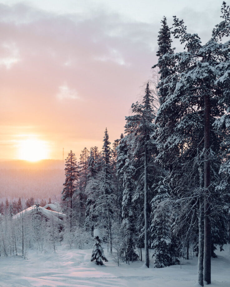 The Ultimate Guide: When to Visit Lapland for the Best Experience