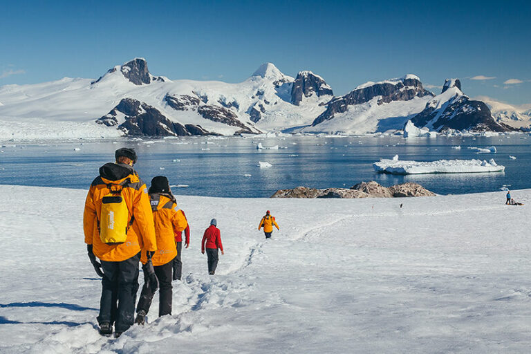 Uncovering the Adventurous Activities for Tourists in Antarctica