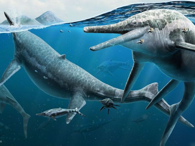 Uncovering the Mystery: Who Really Owns Antarctica?