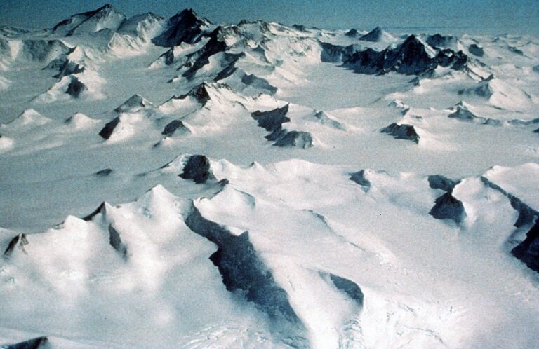 Unveiling the Truth: Is There a McDonald’s in Antarctica? – All About Arctic