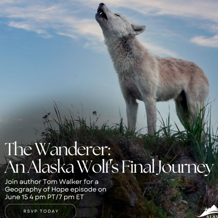 Unveiling the Wildlife of Greenland: Exploring Predators in the Arctic Wilderness