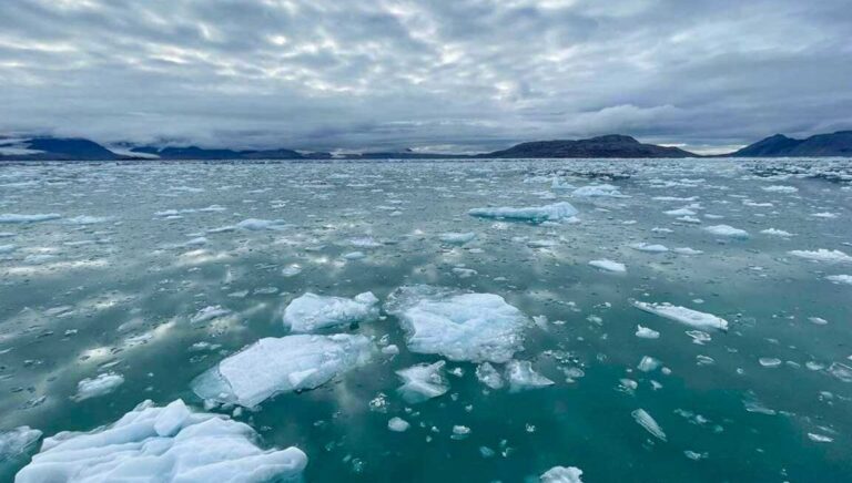 Why the North Pole Melting in Summer is a Concern for Our Arctic Ecosystems