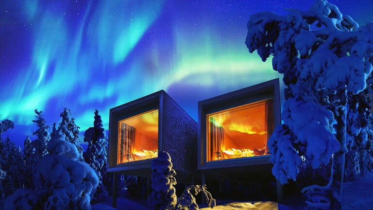 Wondering if Northern Lights Tours in Lapland are Worth It? Find Out Here!