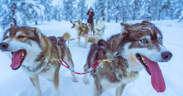 Your Complete Guide to Lapland: Which Airport Should You Fly To?