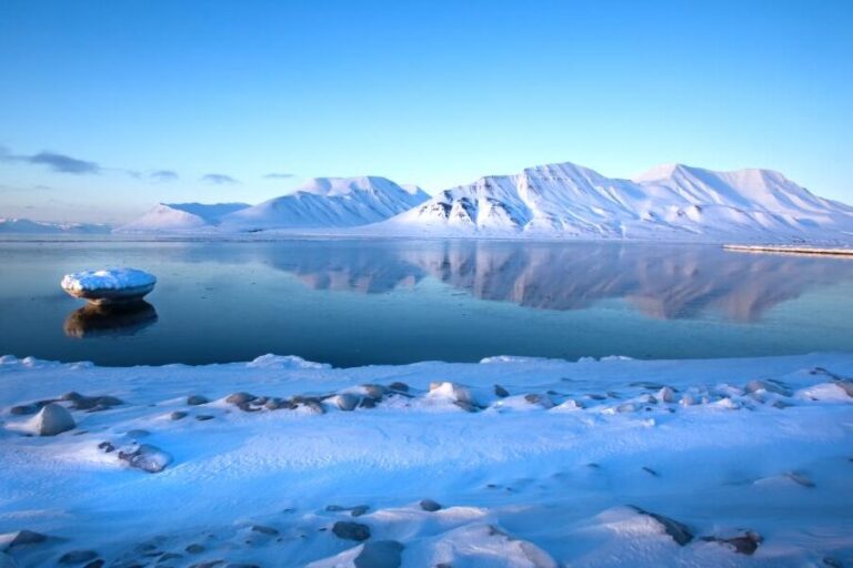 Your Ultimate Guide to Svalbard Currency: What You Need to Know